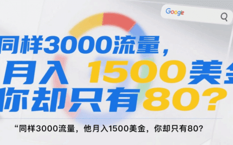 同样是3000流量，他月入1500美金，你却只有80？真相扎心了…